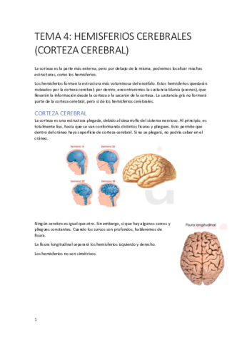 TEMA-4.pdf
