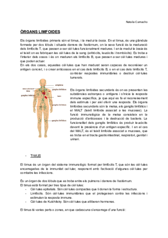 Organs-limfoides.pdf