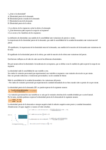 TEMA-3--elasticidad--.pdf