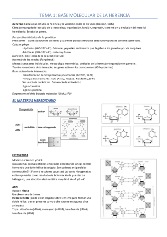 Tema-1.pdf