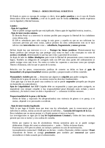 DP3.pdf