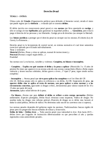 Derecho-Penal-1.pdf