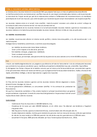 tema-5.pdf