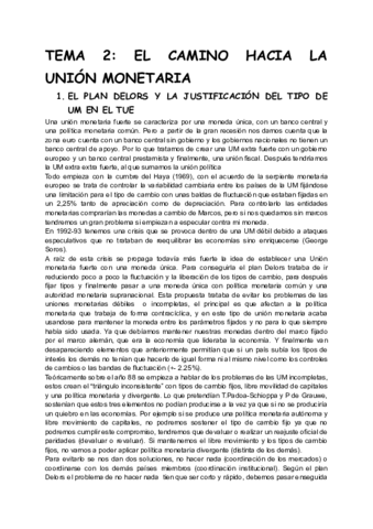 TEMA-2-EL-CAMINO-HACIA-LA-UNION-MONETARIA.pdf