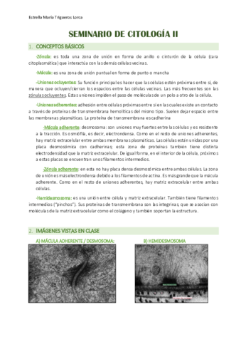 CITOLOGIA-SEMINARIO-2.pdf