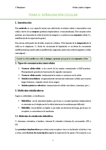 TEMA-5.pdf