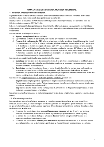 TEMA-2.pdf