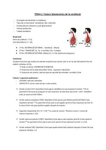 TEORIA-PILAR-PUYOL.pdf