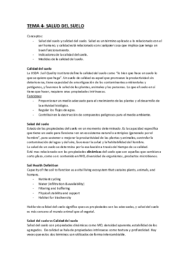 SUELOS T2 ANTONIO.pdf
