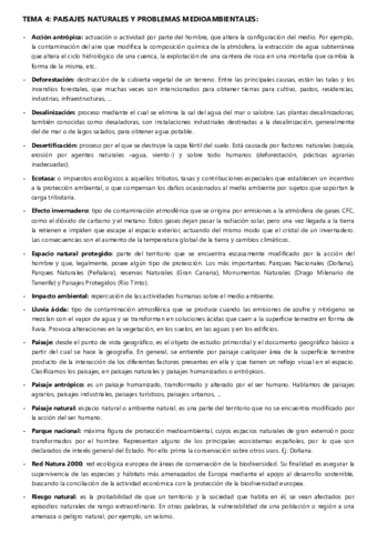 terminos-t4.pdf