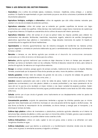 terminos-t5.pdf