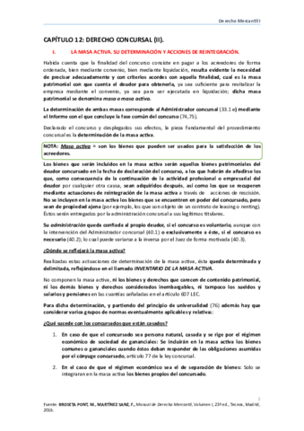 TEMA-12-MERCANTIL.pdf