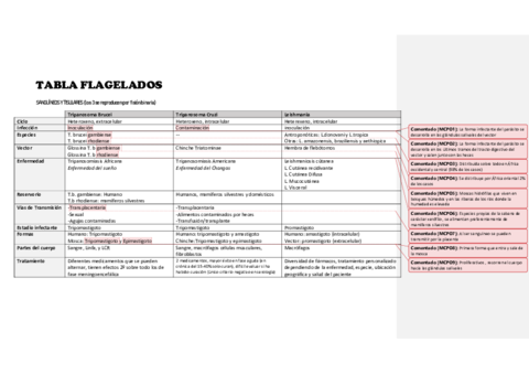 TABLA-FLAGELADOS-sanguineos.pdf