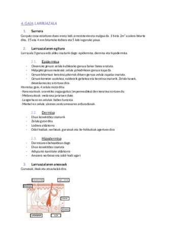 4-GAIA.pdf