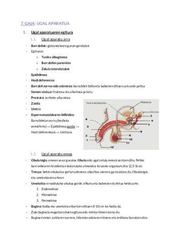 7-ETA-8-GAIAK.pdf