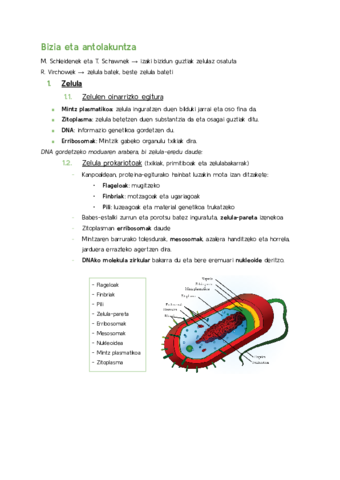 Bizia-eta-antolakuntza-eta-bizia-betikotzea.pdf
