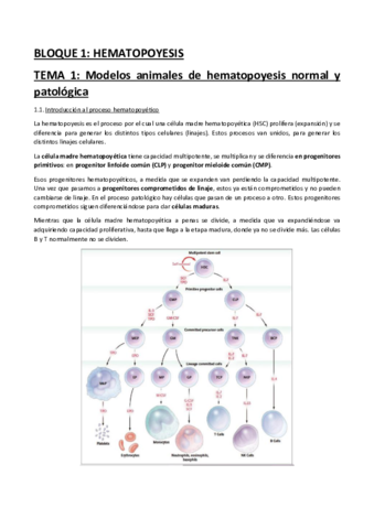 TEMA-1.pdf
