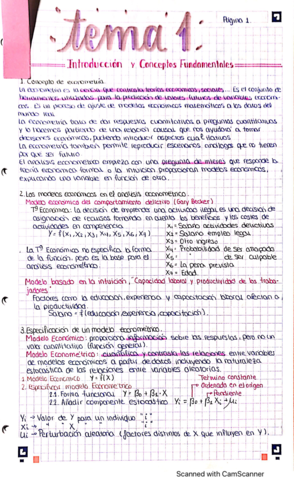 tema-1-econometria-I-ECO.pdf