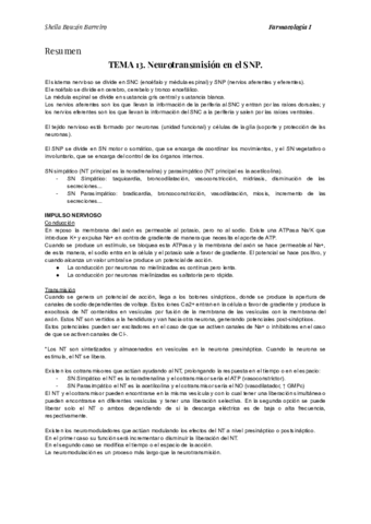 Temario-Resumen-REYES.pdf