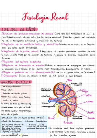 fisiologia-renal.pdf