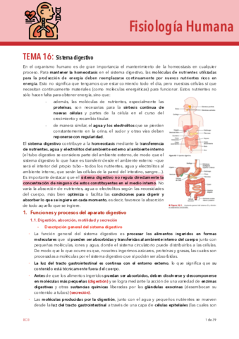 T16-FISIO.pdf