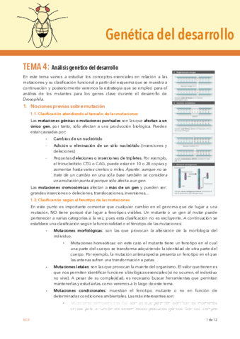 TEMA-4-DESARROLLO.pdf