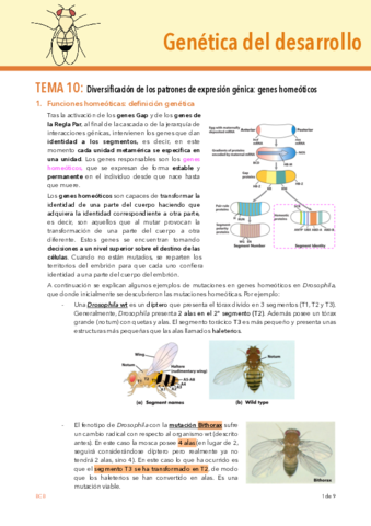 TEMA-10-DESARROLLO.pdf