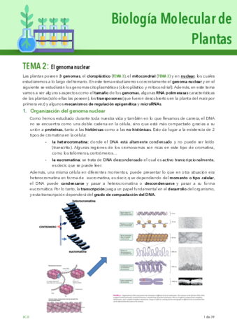 TEMA-2-PLANTAS.pdf
