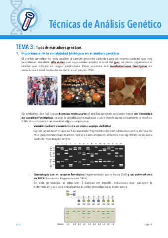 TEMA-3-TAG.pdf