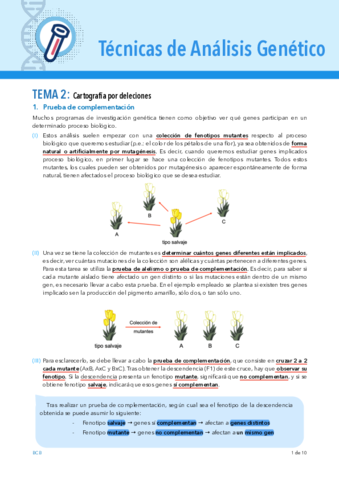TEMA-2-TAG.pdf