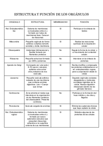 Tabla-de-organulos.pdf