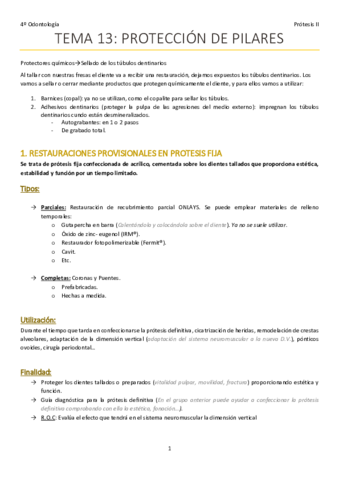 TEMA-13-PROTESIS-color.pdf