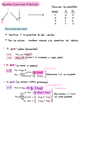 Apuntes Caso Práctico P1 (Animal)