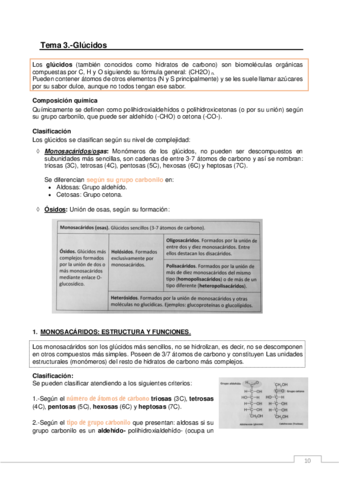 GLUCIDOS.pdf