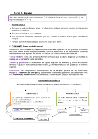 LIPIDOS.pdf