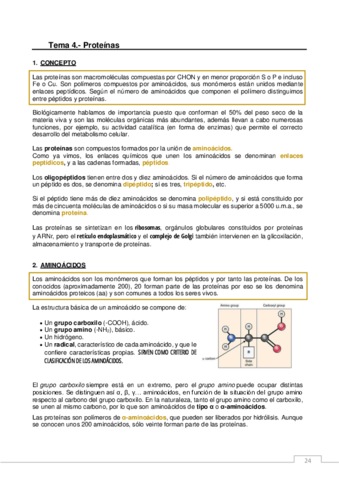 PROTEINAS.pdf