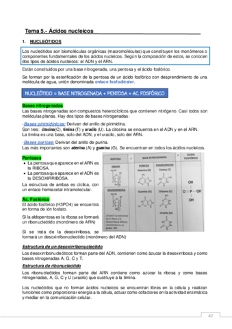 AC-NUCLEICOS.pdf