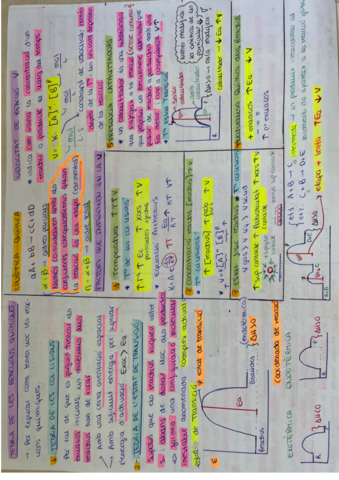 Cinetica-quimica.pdf