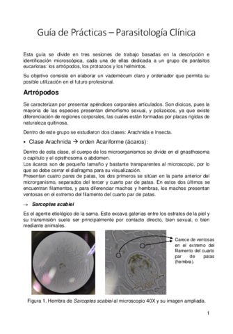 LIAB_Guía Parasitología Nota 10