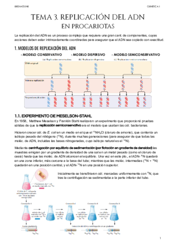 Tema-3-Replicacion-del-ADN-en-procariotas.pdf