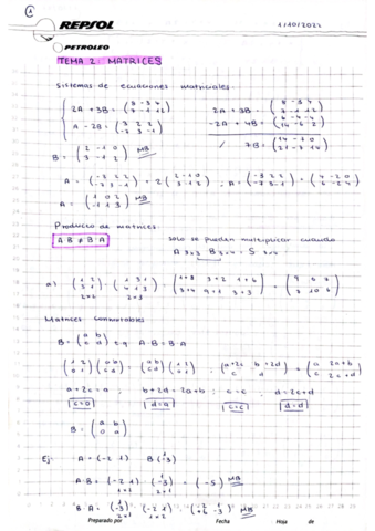 TEMA-2-MATRICES-EJERCICIOS-Y-TEORIA-COMPLETA.pdf