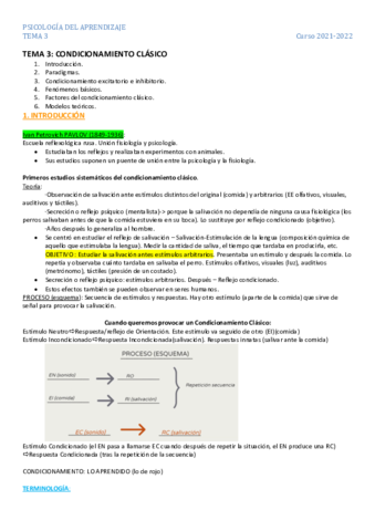 Tema-3-Aprendizaje-Cristina.pdf