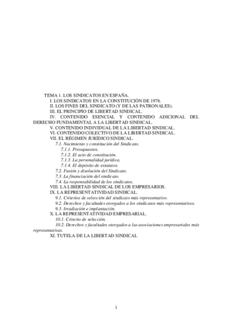 TEMA-1-LOS-SINDICATOS-EN-ESPANA.pdf
