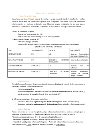 TEMA-14-EL-ANABOLISMO-1.pdf