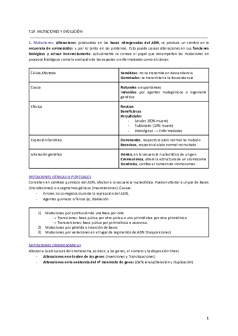 TEMA-19-MUTACIONES-Y-EVOLUCION.pdf