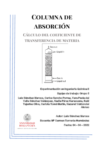 INFORME-COLUMNA-DE-ABSORCION.pdf