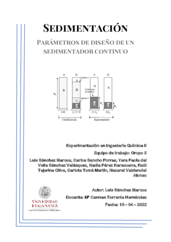 INFORME-SEDIMENTACION.pdf