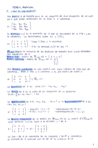 Tema-1-matrices.pdf
