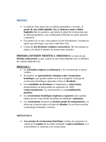 Resumen-meiosis.pdf
