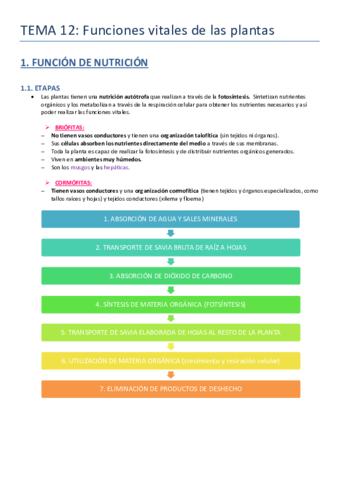 Tema-12.pdf